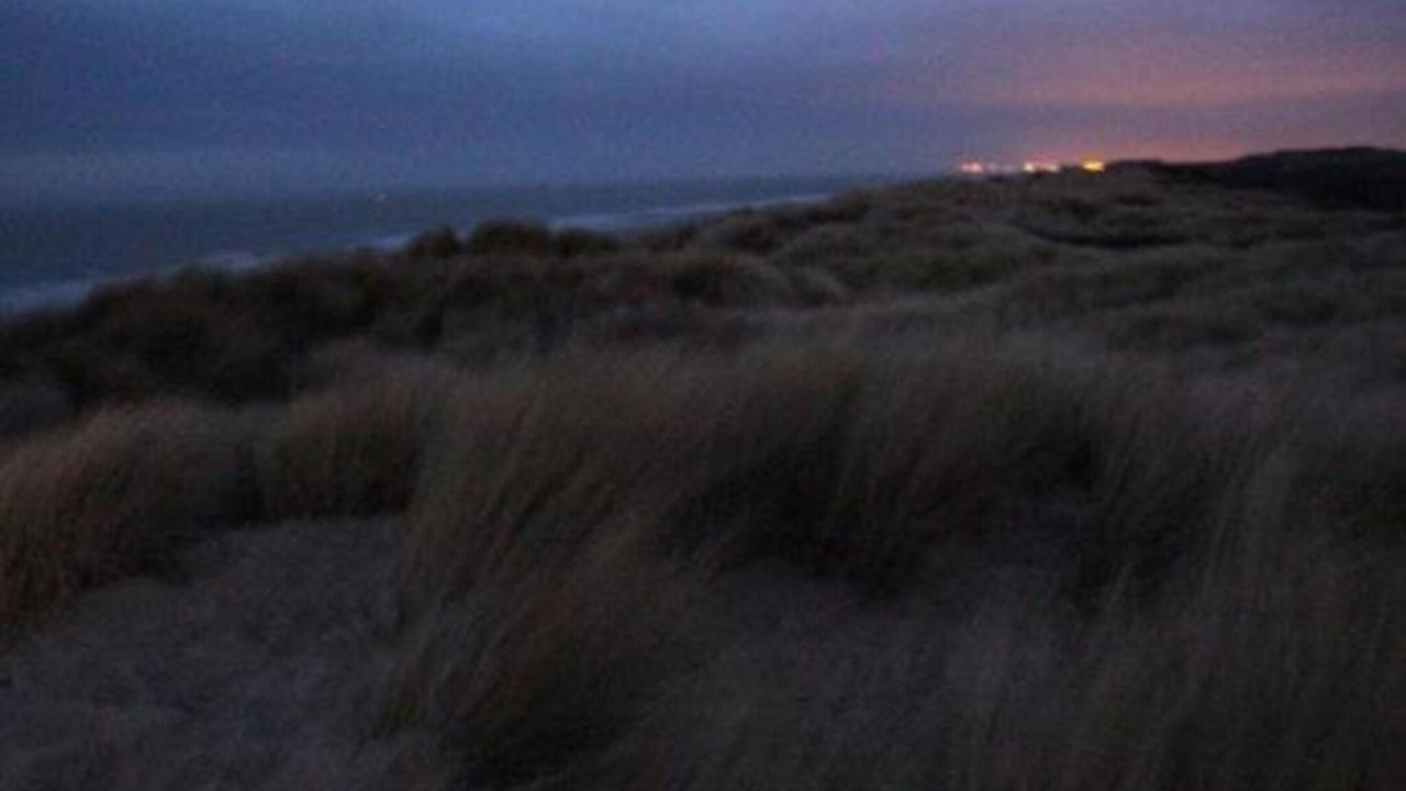 AreaSummer20KM AreaSummer20KM